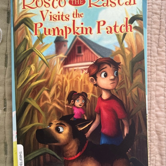 🍁🍂Fall chapter book bundle - Picture 3 of 3